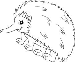 Echidna Animal Coloring Page Isolated for Kids vector