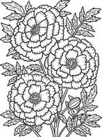 Marigold Flower Coloring Page for Adults vector