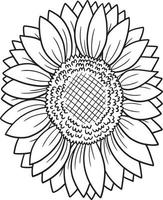 Sunflower Coloring Page for Adults vector