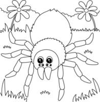 Tarantula Animal Coloring Page for Kids vector