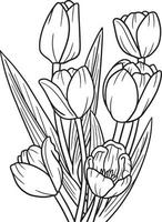 Tulips Flower Coloring Page for Adults vector