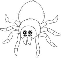 Tarantula Animal Coloring Page Isolated for Kids vector