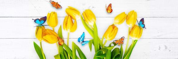 hermosos tulipanes y mariposas. fondo de naturaleza de primavera para banner web foto