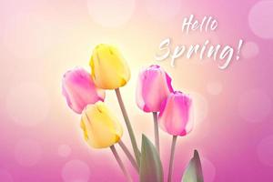 Beautiful tulips. Spring nature background for web banner and card design. photo