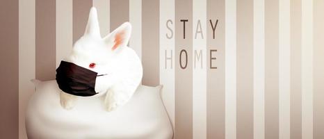 Easter rabbit with medical mask at epidemic time photo