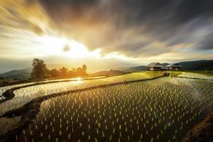 A view of rice fields, terraces, Bong Piang forest, Chiang Mai province in the morning. photo