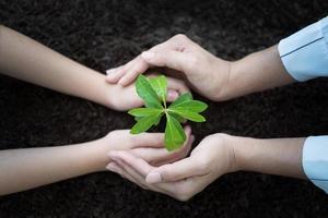 People hand group planting a seed in soil agriculture on natural green background,Growing plants concept photo