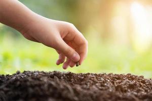 closeup hand of the person holding abundance soil with a young plant in hand photo