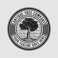 Vintage Old oak strong tree badge logo vector