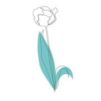 Beautiful blossoming tulip flower in continuous line art drawing style. Minimalist black linear sketch isolated on white background. Vector illustration.