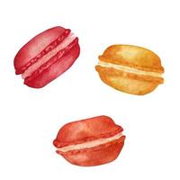 Macaroon, watercolor element on a white background. vector