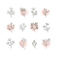 conjunto de hermosos elementos florales dibujados a mano vector