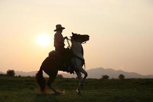 vaquero de silueta a caballo contra una hermosa puesta de sol, vaquero y caballo a primera luz, montaña, río y estilo de vida con fondo de luz natural foto