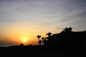 hotel with palm trees and sunrise photo