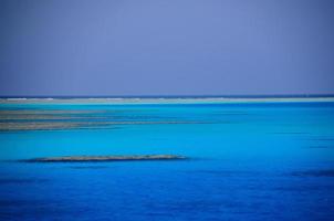 beautiful coral reef in the Red Sea photo