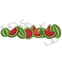 Watermelon strip of watermelon slices cut watermelons with pips with cocktail straws with cocktail umbrellas vector illustration