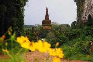 belleza de la naturaleza foto