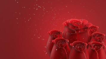 rode roos zonder stengels en bladeren op rode achtergrond. de roos heeft oogverblindende waterdruppels en bubbels die erachter drijven. 3D-rendering video