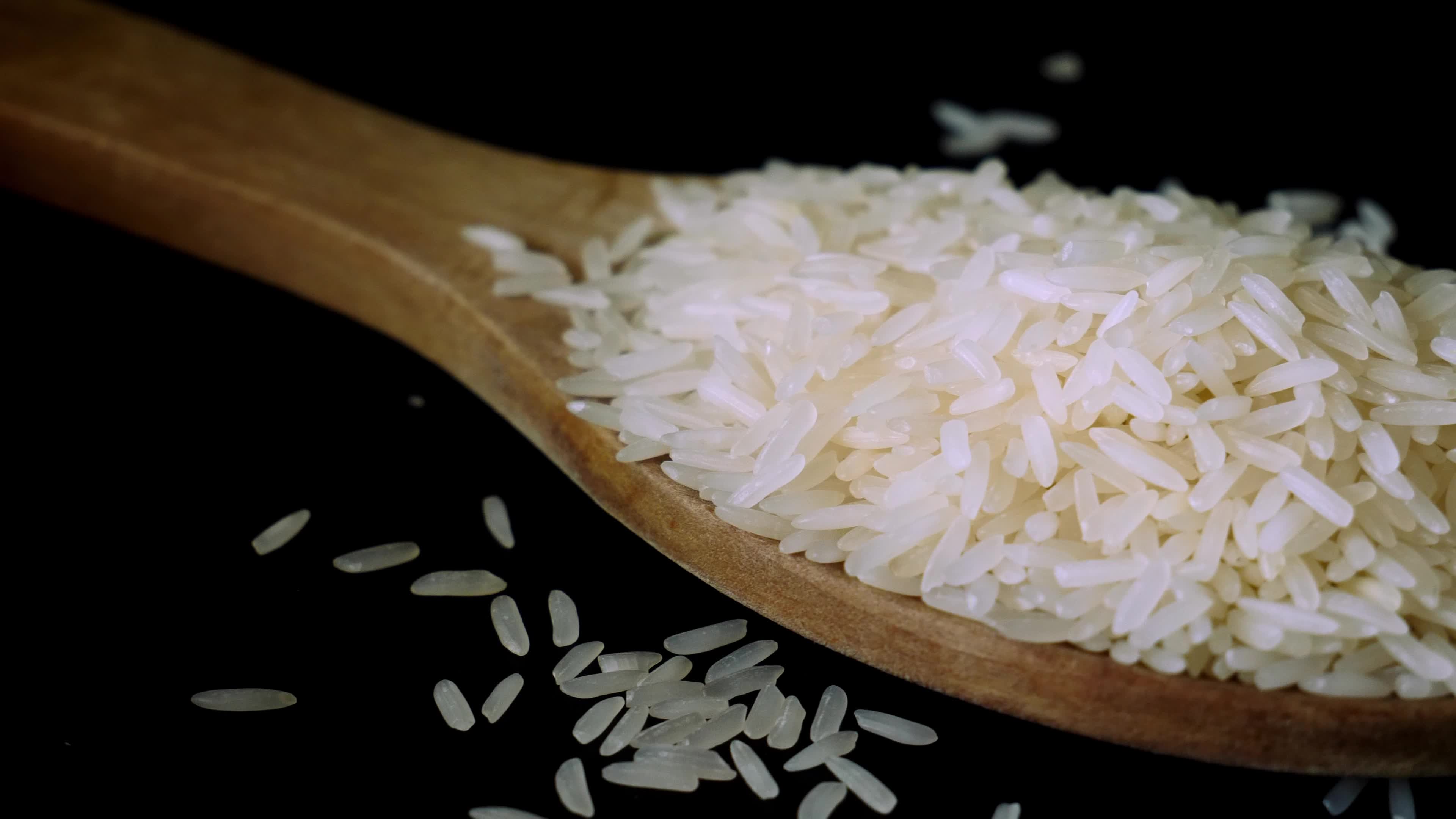 Jasmine rice, popular rice variety in Thailand. Rice grain that has