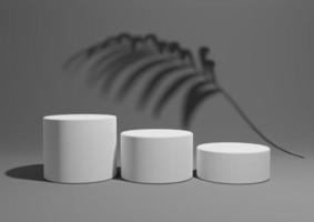 Dark graphite gray, black and white ,3D render of a simple, minimal product display composition backdrop with three podiums or stands and palm leaf shadows in the background for nature products photo