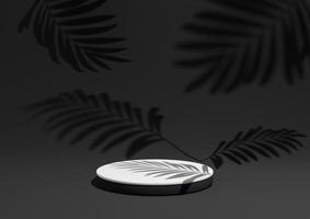 Black, dark gray, black and white, 3D render of a simple, minimal product display composition backdrop with ont podium or stand and leaf shadows in the background for nature products. photo