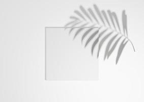 White, light gray, black and white, 3D render minimal, simple top view flat lay product display background with one podium stand and palm leaf shadow for nature products photo