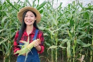 Happy farmer in the corn field