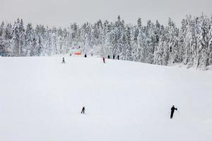 People downhill skiing on a snovy slope. Winter sports and recreation. photo