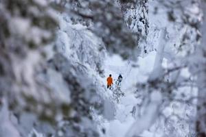 Two skiers seen in the middle of snow covered trees photo