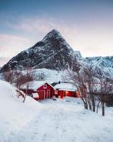 Red house with dry tree in mountain on winter