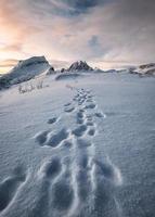 Footprint of mountaineer on snow hill and snowy mountain range in the morning at Senja Island