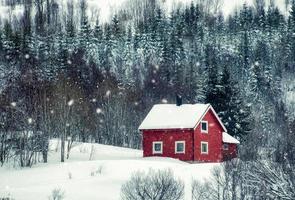 casa roja con nieve en el bosque de pinos