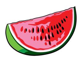 Piece of watermelon on a white background vector