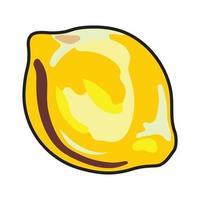 Yellow lemon on a white background vector
