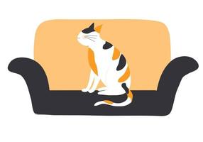 Cute cat sitting on sofa isolated vector illustration