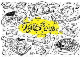 Hand drawn line illustration food. Different types of cheese isolated doodles on white background. Kinds, brie, blue, mozzarella, feta vector