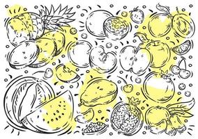 Hand drawn vector illustration food. Doodle line exotic fruits and berries, watermelon, pineapple, passion fruit, plum, strawberry, peach, apple, pear, cherry, blueberry, pomegranate, tangerine