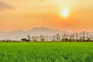 Beautiful sunset behind hill with rice fields and view of Doi Nang Non, Mae Sai, Chiang Rai, Thailand. photo