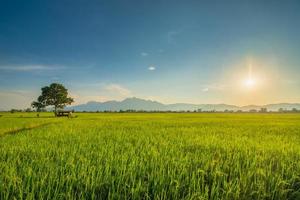 una puesta de sol muy hermosa en las montañas llamadas doi nang non. la vista frontal es un campo verde. el paisaje que brilla a través de las nubes anaranjadas foto