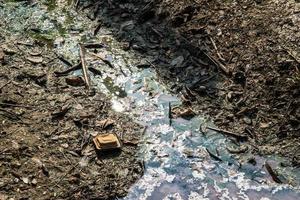 canal con bajo nivel de agua debido a la sequía foto