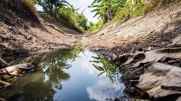 canal with low water level Because of the drought photo