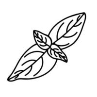 Basil leaves vector icon. Isolated illustration of a plant on a white background. Black outline of a basil, doodle. Hand-drawn line, sketch