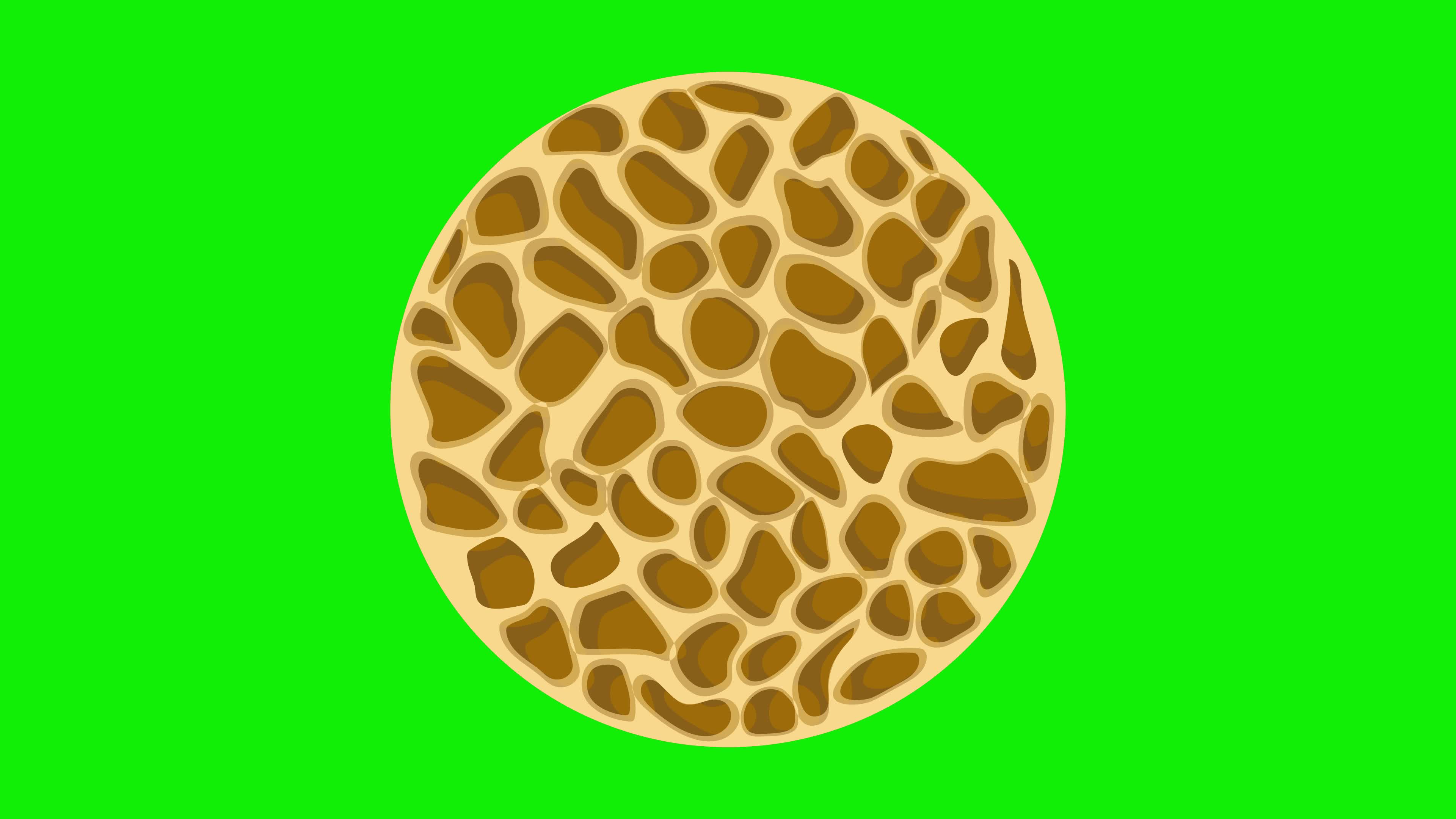 Animation of bone spongy structure, normal and with osteoporosis 7074668 Stock Video at Vecteezy Animation of bone spongy structure, normal and with osteoporosis 7074668 Stock Video at Vecteezy