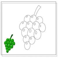 The page of the coloring book, grapes. Color version and sketch. vector