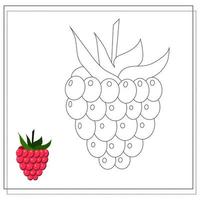 Page of the coloring book, raspberry. Color version and sketch. Coloring book for kids vector
