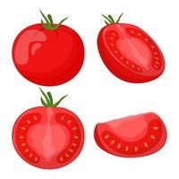 Set of tomatoes isolated on white background. Flat vector illustration.