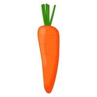 Whole carrot isolated on background. Flat vector illustration.