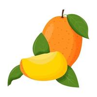 Whole mango with green leaf isolated on white background. Flat vector illustration.