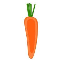 Half of carrot isolated on background. Flat vector illustration.