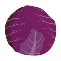 Whole red cabbage isolated on background. Flat vector illustration.